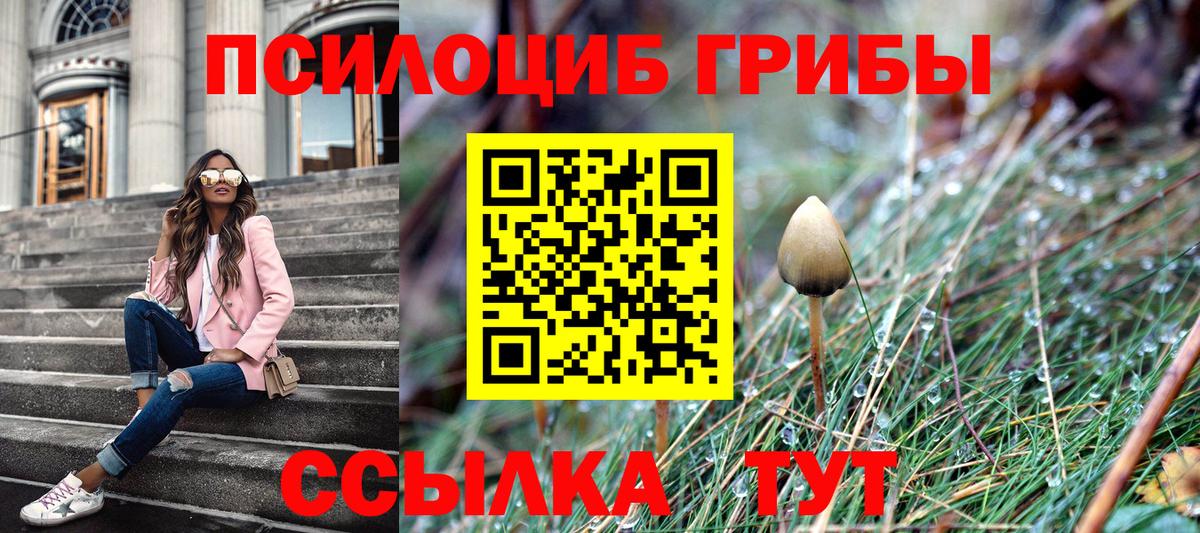 Галлюциногенные грибы мухоморы Десногорск